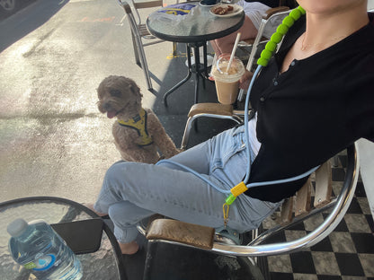 Vegan leather 
Poop bag holder - baby blue